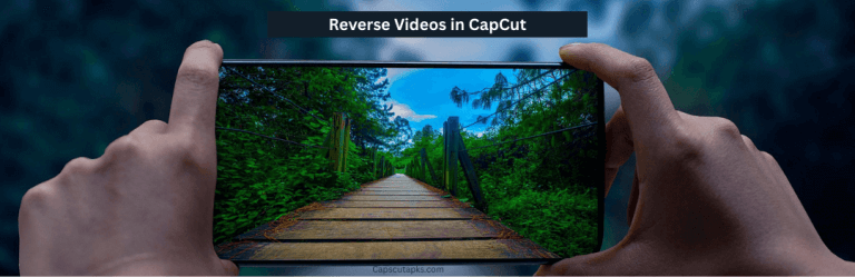 Reverse a Video in CapCut
