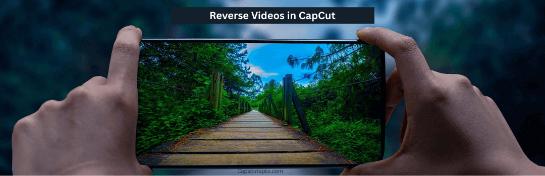 Reverse a Video in CapCut